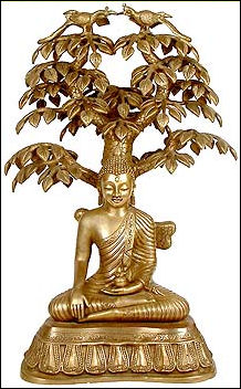 20120430-Nirvana Uder teh Tree if Life ind Ex.jpg